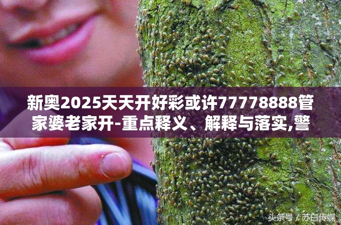 新奥2025天天开好彩或许77778888管家婆老家开-重点释义、解释与落实,警惕不实的钓鱼钩