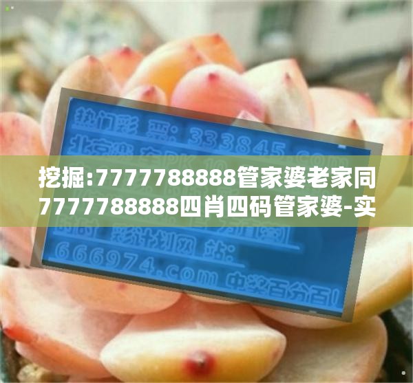 挖掘:7777788888管家婆老家同7777788888四肖四码管家婆-实用剖析、专家解读解释与落实?