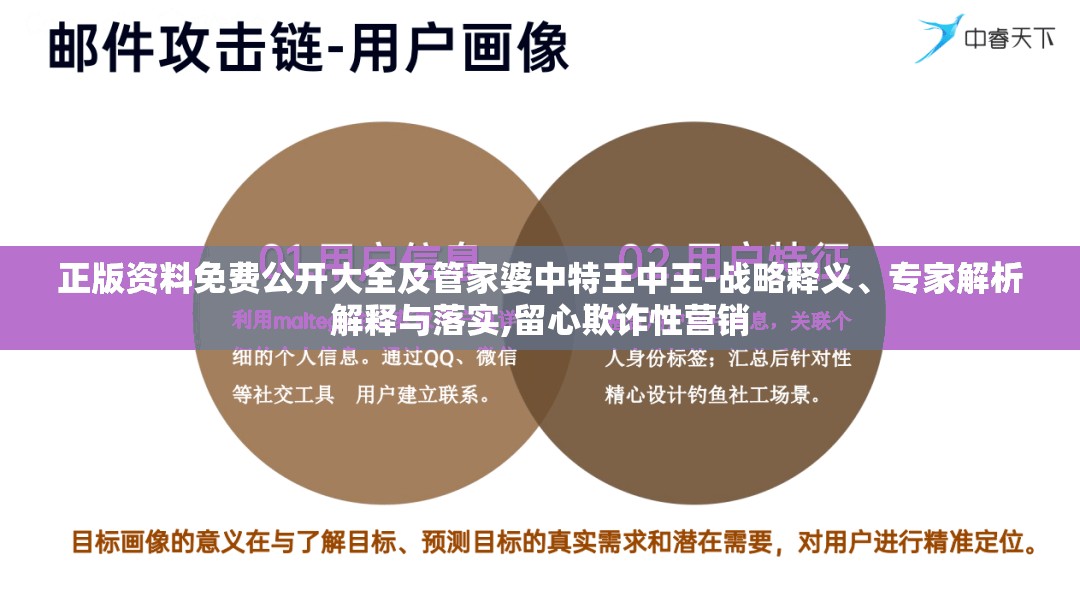 正版资料免费公开大全及管家婆中特王中王-战略释义、专家解析解释与落实,留心欺诈性营销