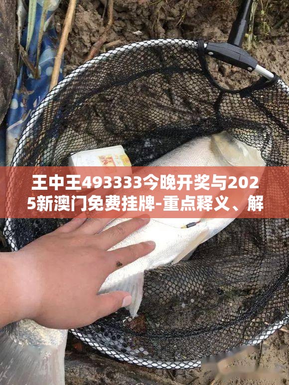 王中王493333今晚开奖与2025新澳门免费挂牌-重点释义、解释与落实,警惕不实的钓鱼钩