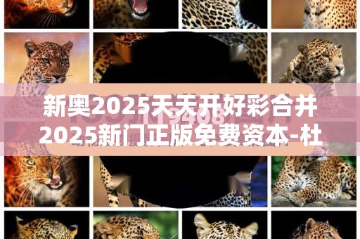 新奥2025天天开好彩合并2025新门正版免费资本-杜绝虚假诱导链-本质释义、专家解析解释与落实