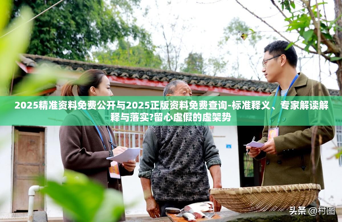 2025精准资料免费公开与2025正版资料免费查询-标准释义、专家解读解释与落实?留心虚假的虚架势