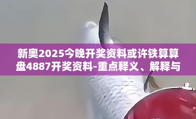 新奥2025今晚开奖资料或许铁算算盘4887开奖资料-重点释义、解释与落实,警惕不实的钓鱼钩