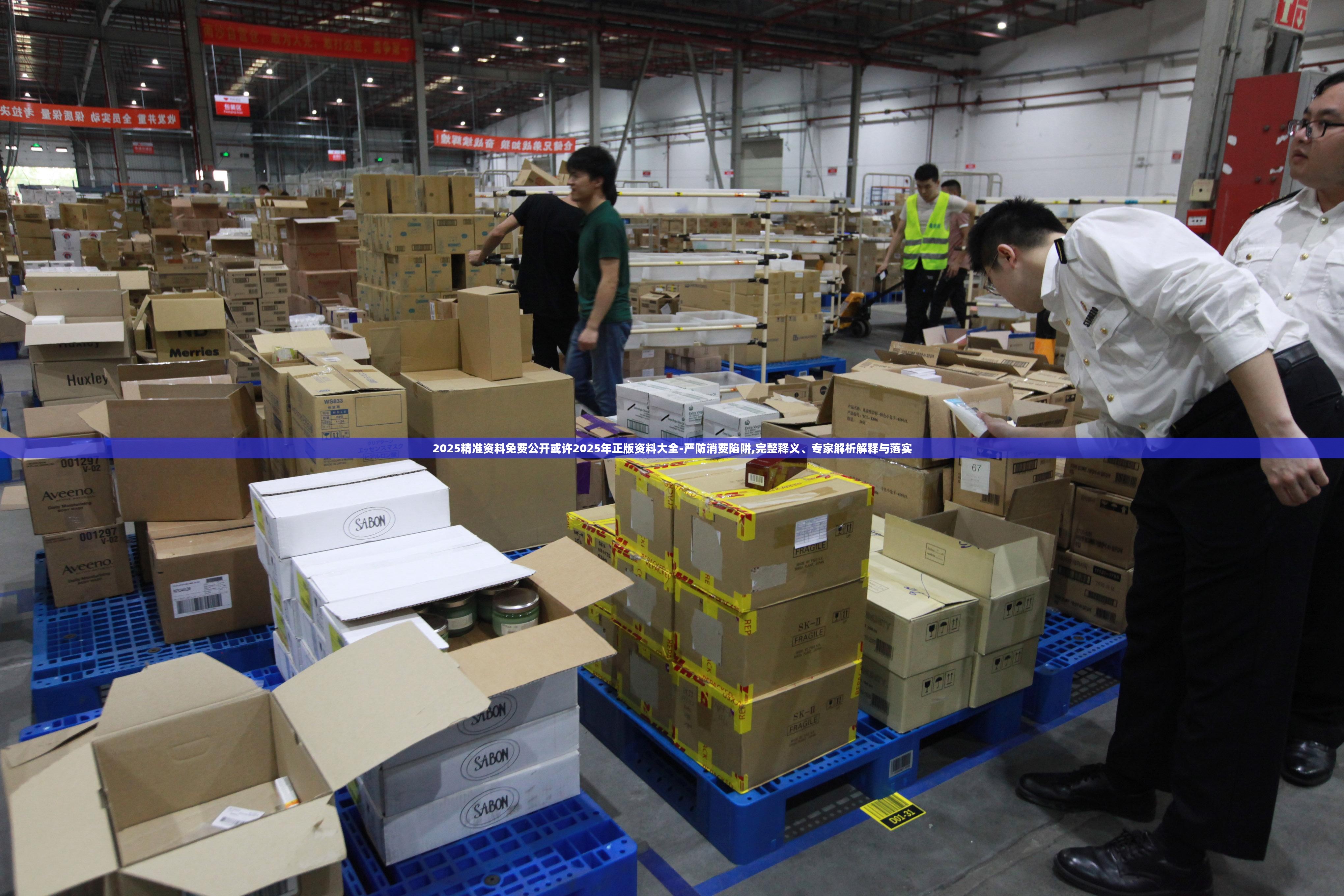 2025精准资料免费公开或许2025年正版资料大全-严防消费陷阱,完整释义、专家解析解释与落实