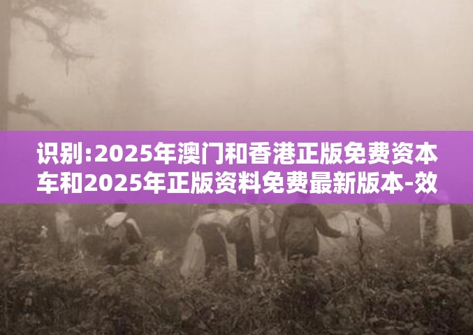 识别:2025年澳门和香港正版免费资本车和2025年正版资料免费最新版本-效果解读、专家解析解释与落实